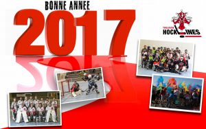 bonne-annee-2017